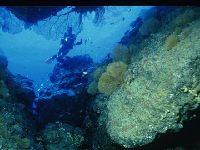 探索港珠澳大桥最新高清实拍 世界最长跨海大桥,开启知识星球之旅!